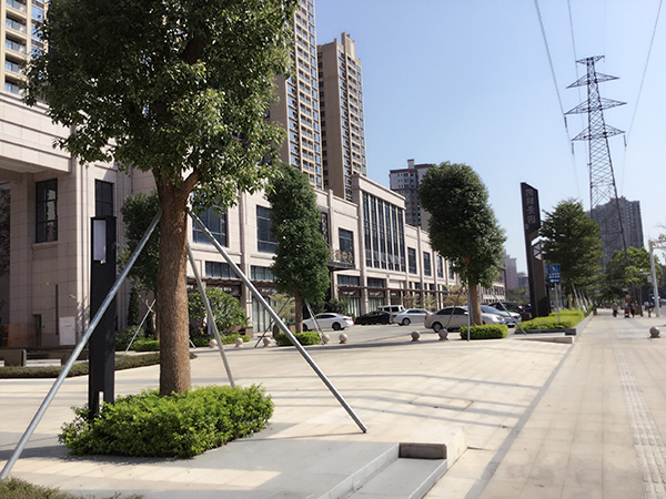 ��԰԰�־��۹���