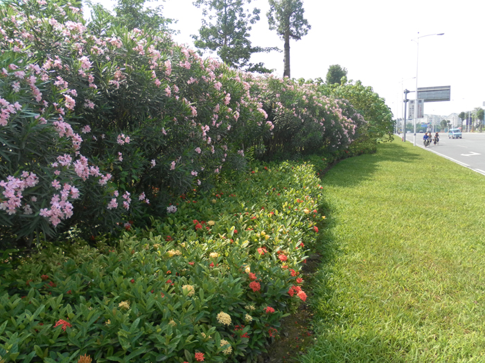 ������·�̻�����