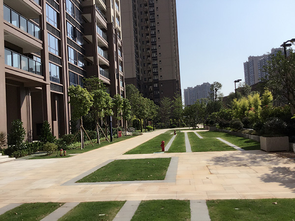 ���ɾ��۹���