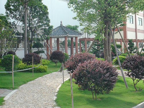 ��˲�Ʊ�̻�