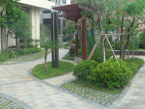 ��ɽ�������幫��