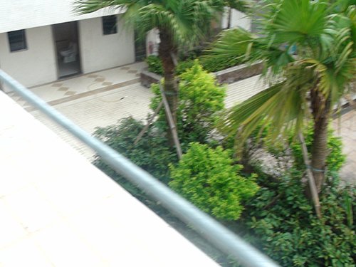 ��ɽ�������幫��