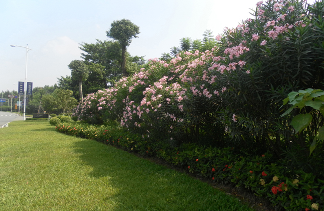 ������·�̻�����