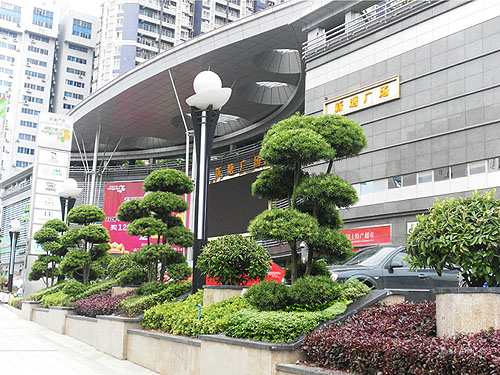 ���������㳡