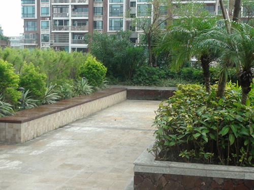 ��ɽ�������幫��